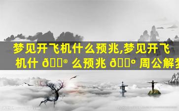 梦见开飞机什么预兆,梦见开飞机什 💮 么预兆 🌺 周公解梦